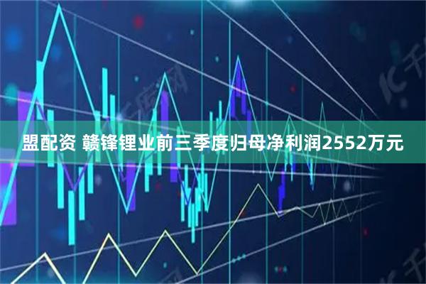 盟配资 赣锋锂业前三季度归母净利润2552万元
