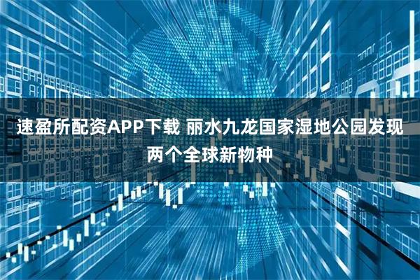 速盈所配资APP下载 丽水九龙国家湿地公园发现两个全球新物种